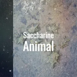 Saccharine Animal