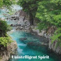 Unintelligent Spirit