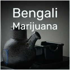 Bengali Marijuana