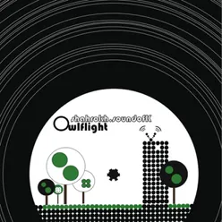 Owlflight