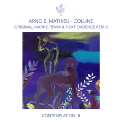 Contemplation II - Colline (incl. remixes by Mark E, Next Evidence)