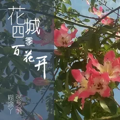 花城四季百花开