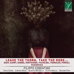 Leave the Thorn, Take the Rose...
