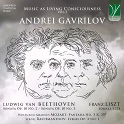 Music as Living Consciousness, Vol. 2 Beethoven Op. 10 Nos. 2 & 3, Liszt S. 178, Mozart K. 397, Rachmaninov Op. 3 No. 1