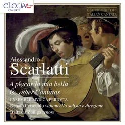 Sonata for Cello and b.c. in C Minor: I. Largo - Allegro - Largo