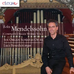 Organ Sonata in F Minor, Op. 65 No. 1: I. Allegro moderato e serioso