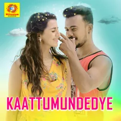 Kaattumundedye From"Dhamaka"