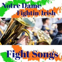 Rake the Marrow Rudy Version (Notre Dame Fighting Irish)