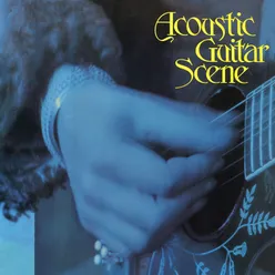 Acoustic Guitar Scene