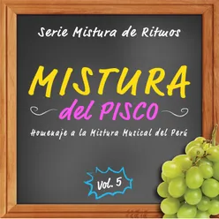 Serie Mistura de Ritmos: Mistura Del Pisco, Vol. 5