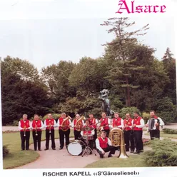 Alsace - s'ganseliesel
