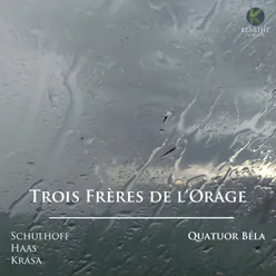 Quatuor No. 2, Op. 7 "Des montagnes du singes": I. Paysage – Andante