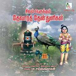 Kangaalar Poosum Kavasa Thiruneeru Thirumandiram