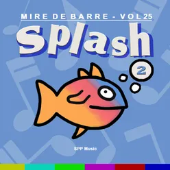 Mire de Barre, vol. 25 Splash 2