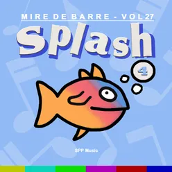 Mire de Barre, vol. 27 Splash 4