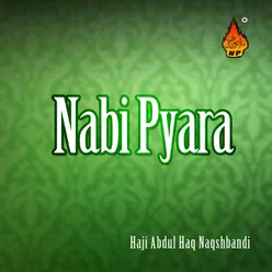 Nabi Pyara Jidhan Jiyara
