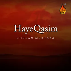 Haye Qasim