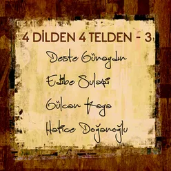 4 Dilden 4 Telden / 3
