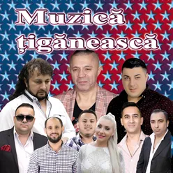 Muzica Tiganeasca