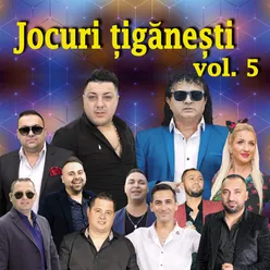 Jocuri Tiganesti, Vol. 5