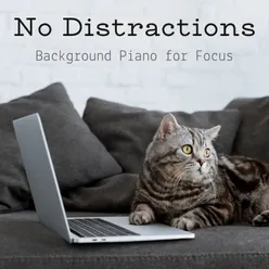 Distractionless Dolce