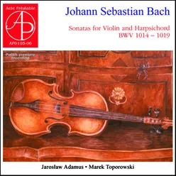 Sonata No. 1 in B Minor, BWV 1014: III. Andante