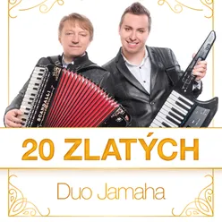 20 zlatých