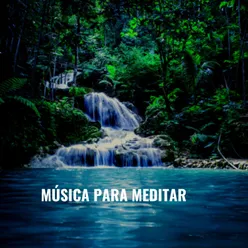 Musica para Meditar