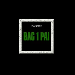 Bag 1 Pai