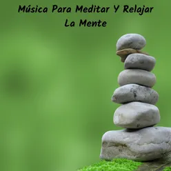 Música para Meditar y Relajar la Mente