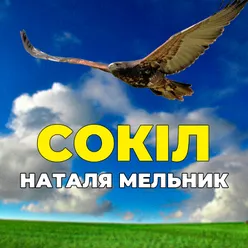 Сокіл