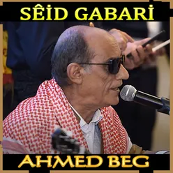 Ahmed Beg