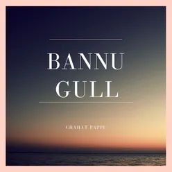 Bannu Gull