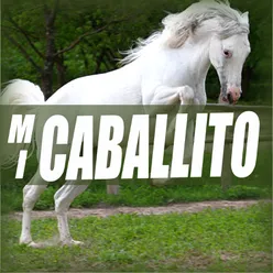 El Caballito