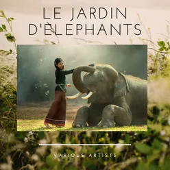 Le Jardin d'Elephants