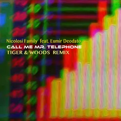 Call me Mr. Telephone Tiger & Woods Remix