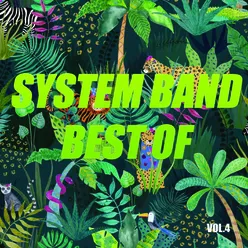 Best of system band
