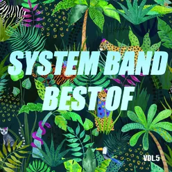 Best of system band