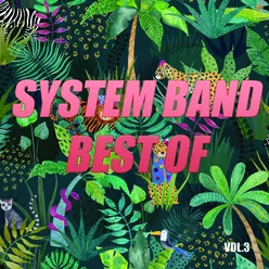 Best of system band