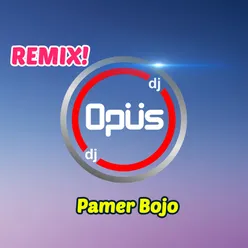 Ashiaaap Versi DJ Remix