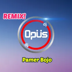 Sanhok Turun Paradise Versi DJ Remix