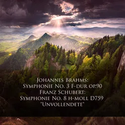 Symphonie No. 3 F-dur, op.90 Allegro Con Brio