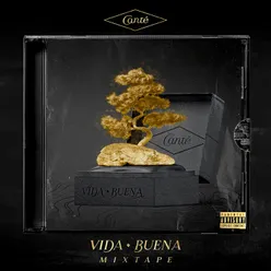 Vida Buena Mixtape