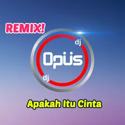 Apakah Itu Cinta Remix