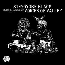 No Sense Voices of Valley Remix