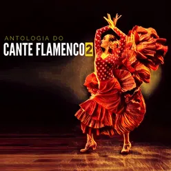 Antologia Do Cante Flamenco 2