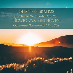 Symphonie No. 2 in D Major, Op. 73: IV. Allegro con spirito