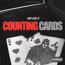 Counting Cards