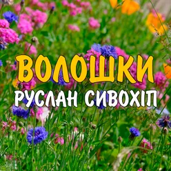 Волошки