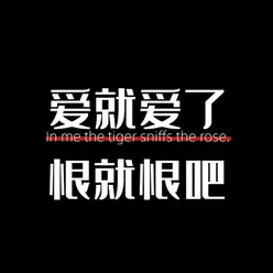 后悔错放你的手 DJ女版